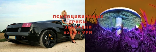 молекула духа Гусев