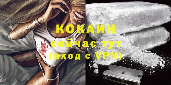 молекула духа Гусев