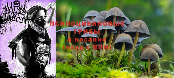 альфа пвп Гусь-Хрустальный