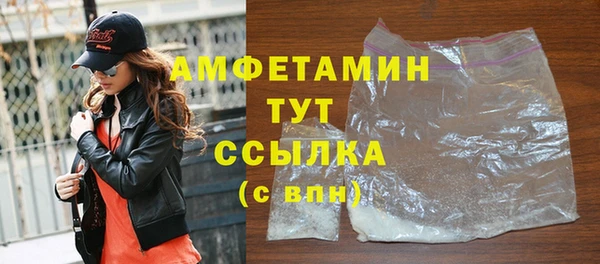 молекула духа Гусев