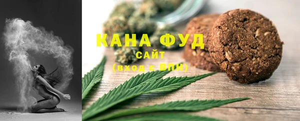 молекула духа Гусев